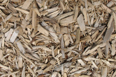 biomass boilers Garreg