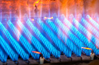Garreg gas fired boilers